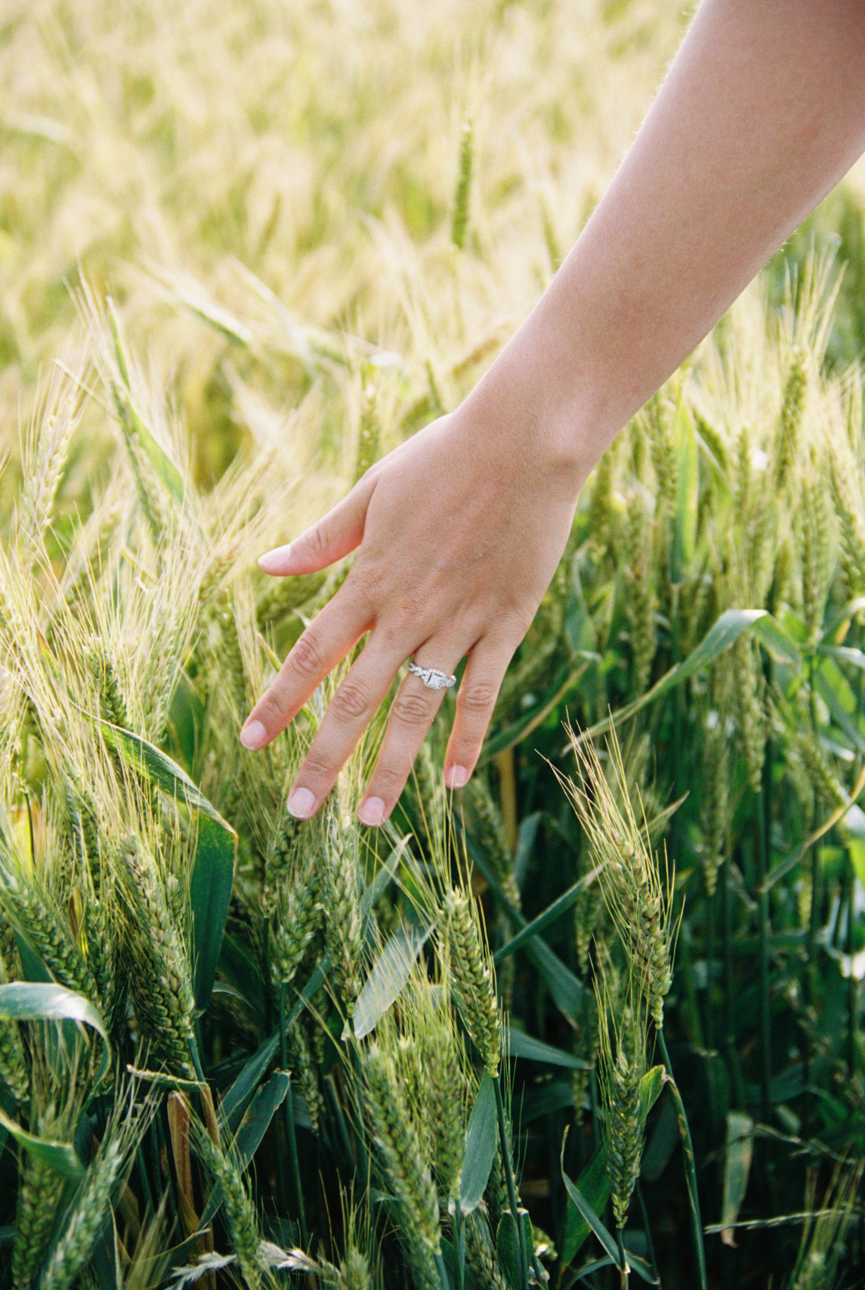 Kat drags her left hand through the wheat field, while showing off her ring