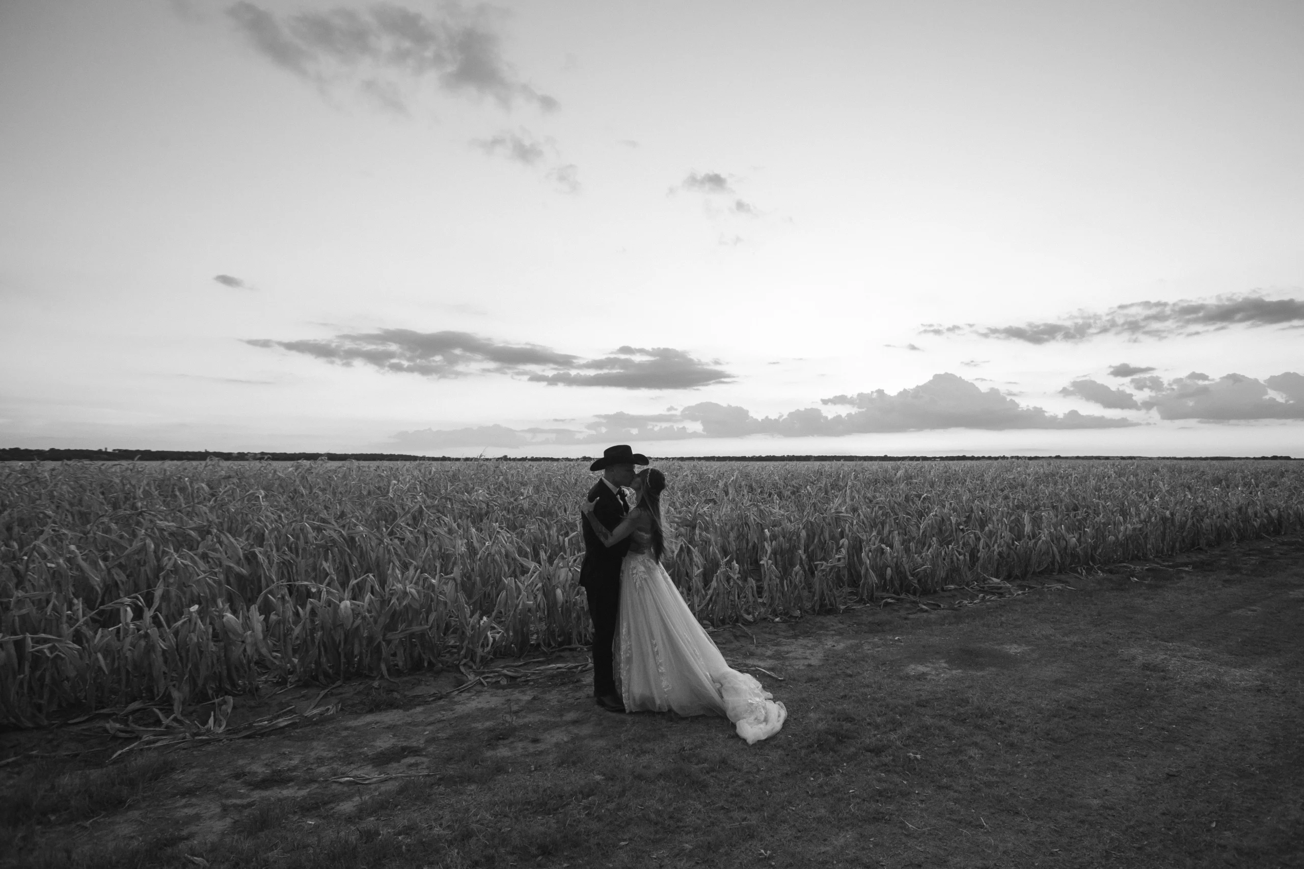 A bride and groom share a kiss in front of an open corn field | Rae Allen Photography front page image