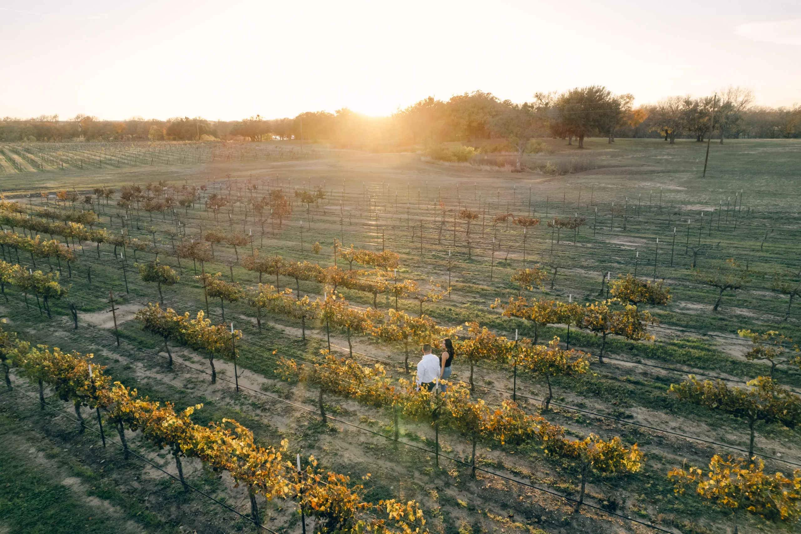 Aerial shot of the Fiesta Winery during an engagement shoot
